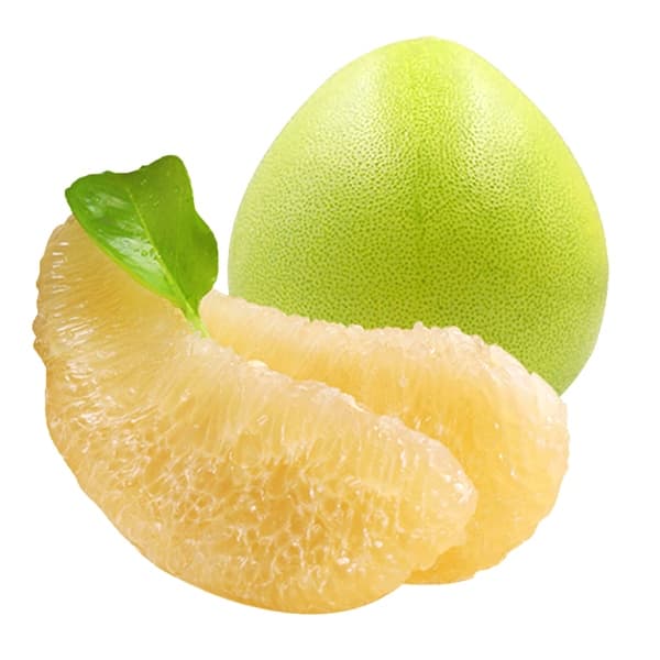 QBMV